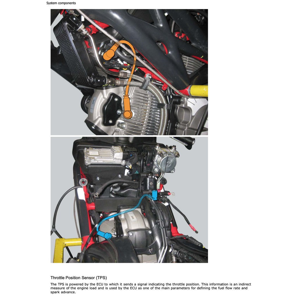 DUCATI MONSTER 796 2010-2014 Full Manual Set – SERVICE REPAIR WORKSHOP MANUAL and Spare Parts Catalog and User Handbook