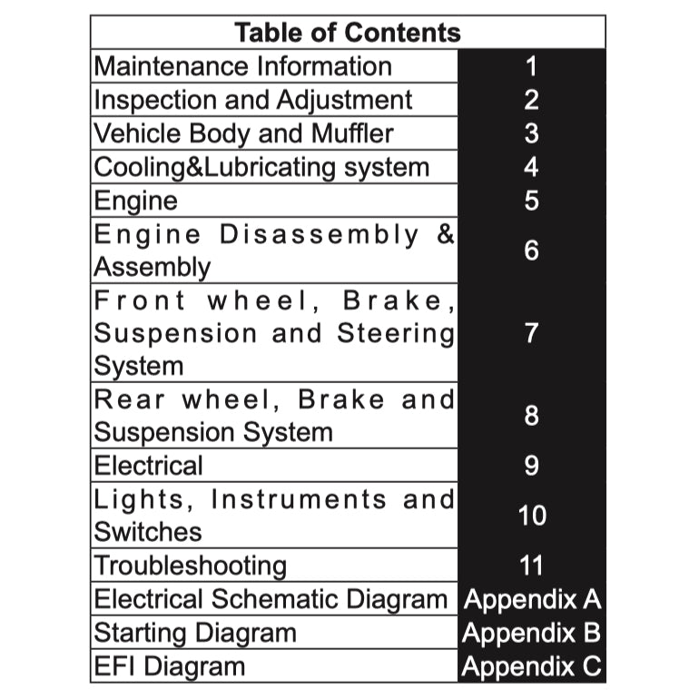 CFMOTO 300NK 2020-2024 Full Manual Set – Repair & Maintenance Manual and Spare Parts Catalog and User Handbook