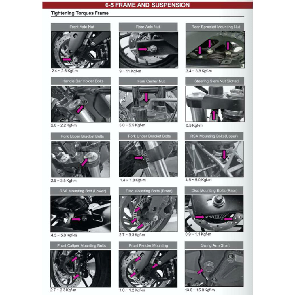 MODENAS DOMINAR 250 DM250 2023+ Full Manual Set – Repair & Maintenance Manual and Spare Parts Catalog and User Handbook