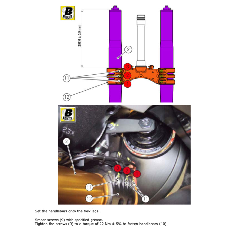 DUCATI PANIGALE 899 2013-2015 Full Manual Set – Repair & Maintenance Manual and Spare Parts Catalog and User Handbook