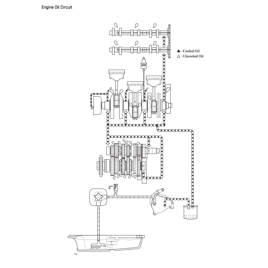 TRIUMPH TRIDENT 660 2021+ Full Manual Set – Repair & Maintenance Manual and User Handbook