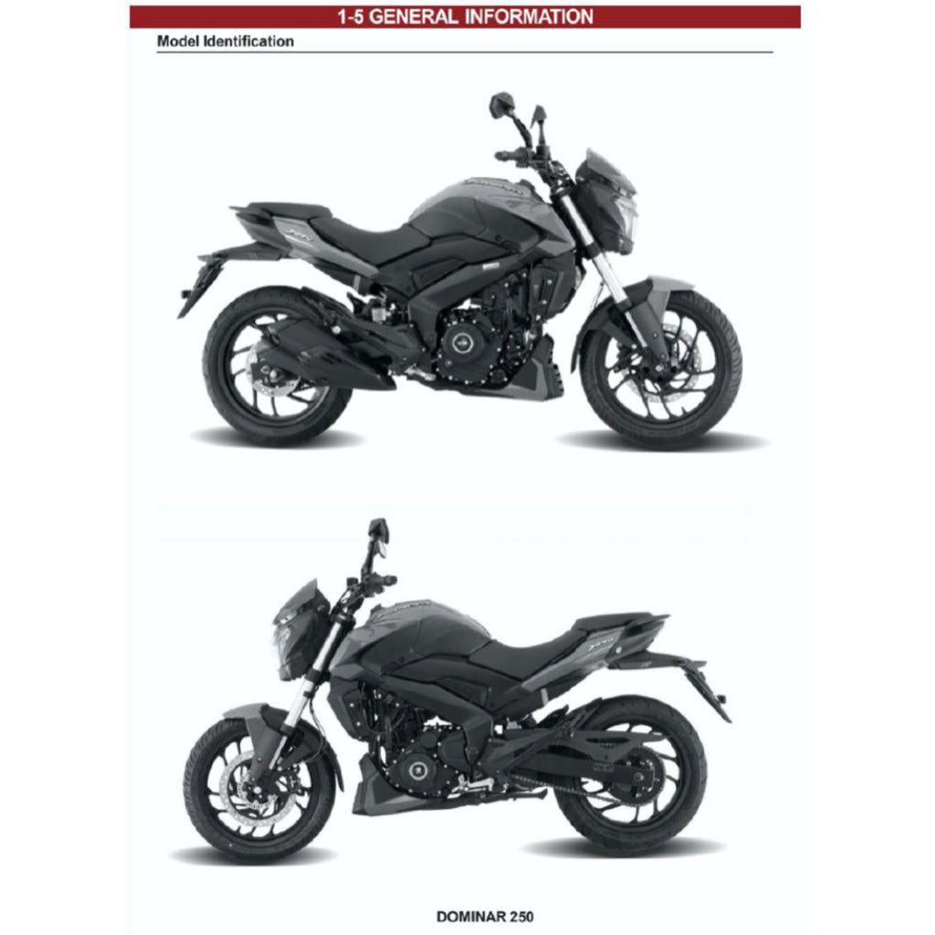 MODENAS DOMINAR 250 DM250 2023+ Full Manual Set – Repair & Maintenance Manual and Spare Parts Catalog and User Handbook