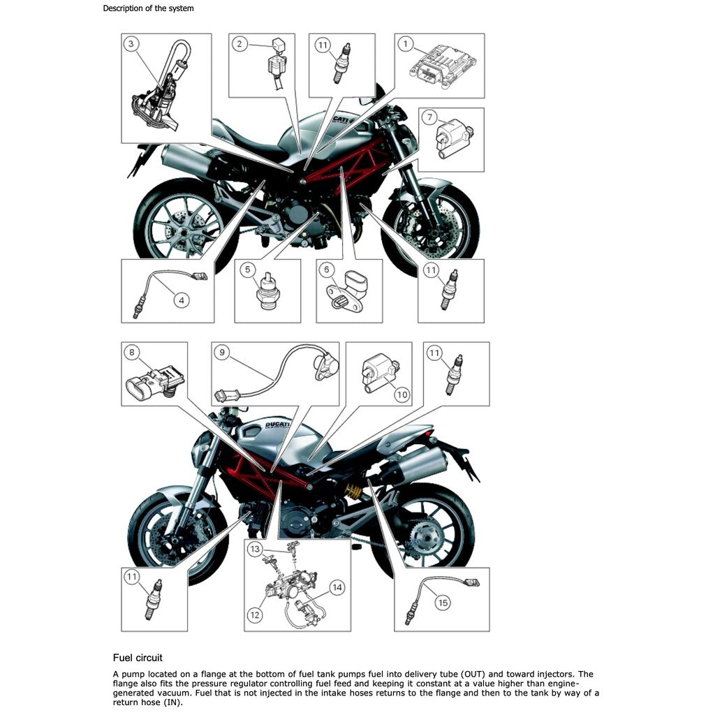 DUCATI MONSTER 796 2010-2014 Full Manual Set – SERVICE REPAIR WORKSHOP MANUAL and Spare Parts Catalog and User Handbook