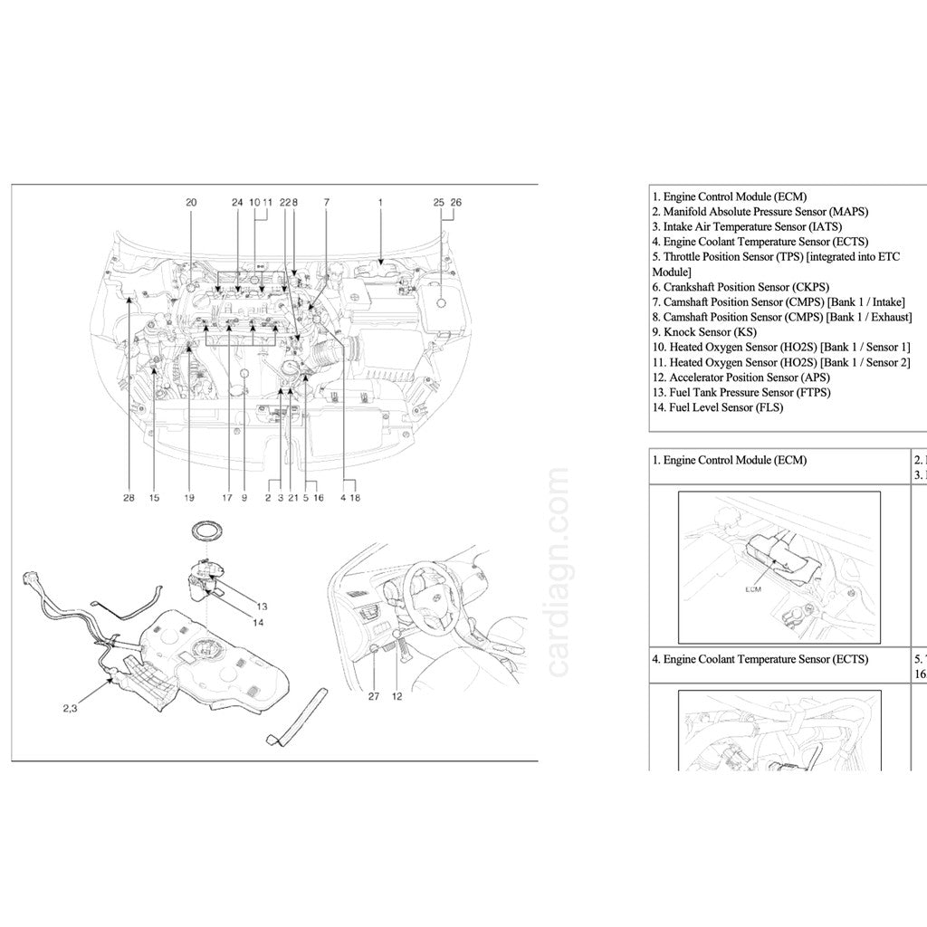 HYUNDAI ELANTRA 2010-2015 Full Manual Set – Repair & Maintenance Manual