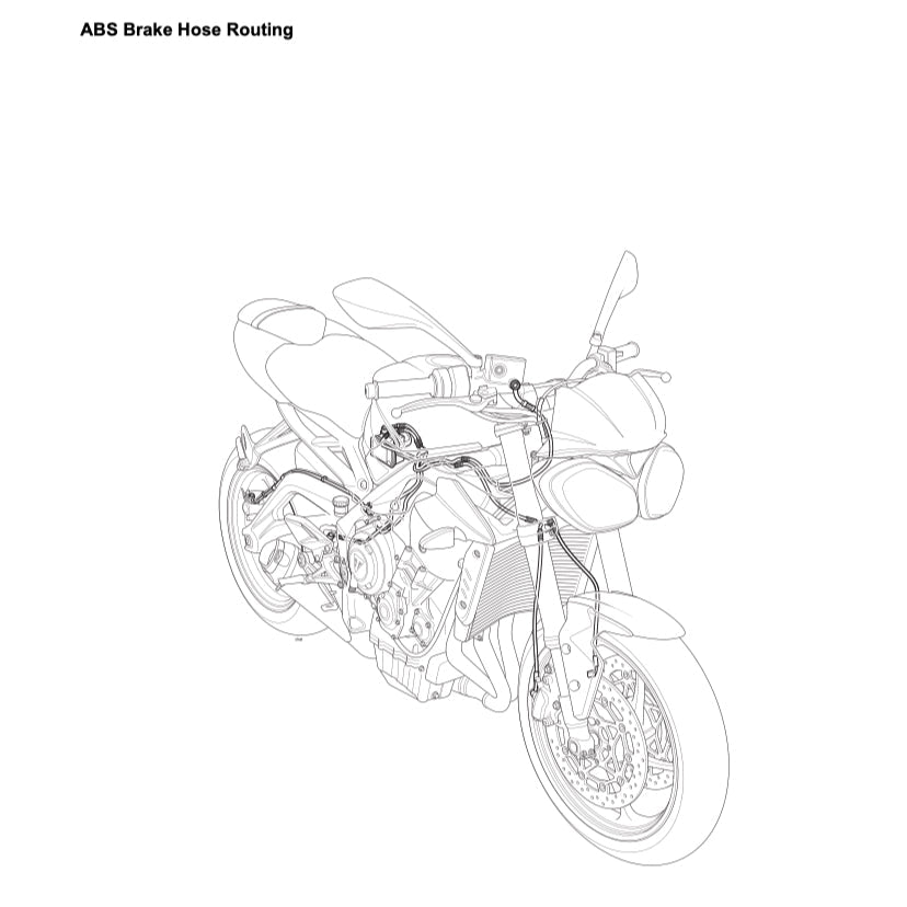 TRIUMPH STREET TRIPLE 765 RS 2018-2022 Full Manual Set – Repair & Maintenance Manual and User Handbook