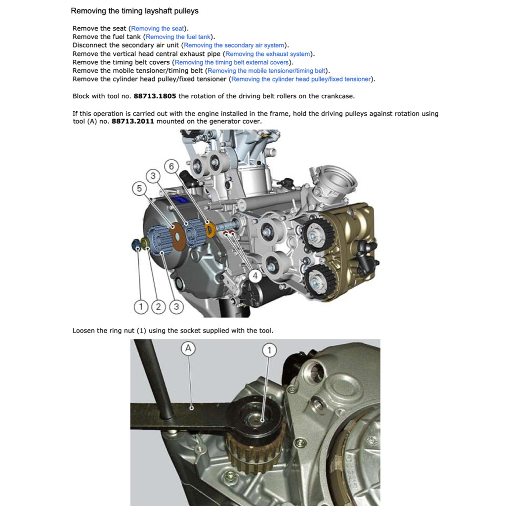 DUCATI MONSTER 1200R E4 2016-2020 Full Manual Set – Repair & Maintenance Manual and Spare Parts Catalog and User Handbook