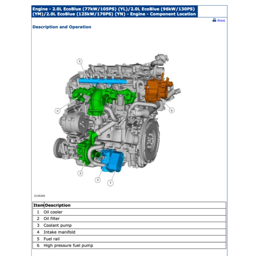 FORD RANGER T6 2019-2021 Full Manual Set – Repair & Maintenance Manual - ALSO CALLED RANGER "T7"