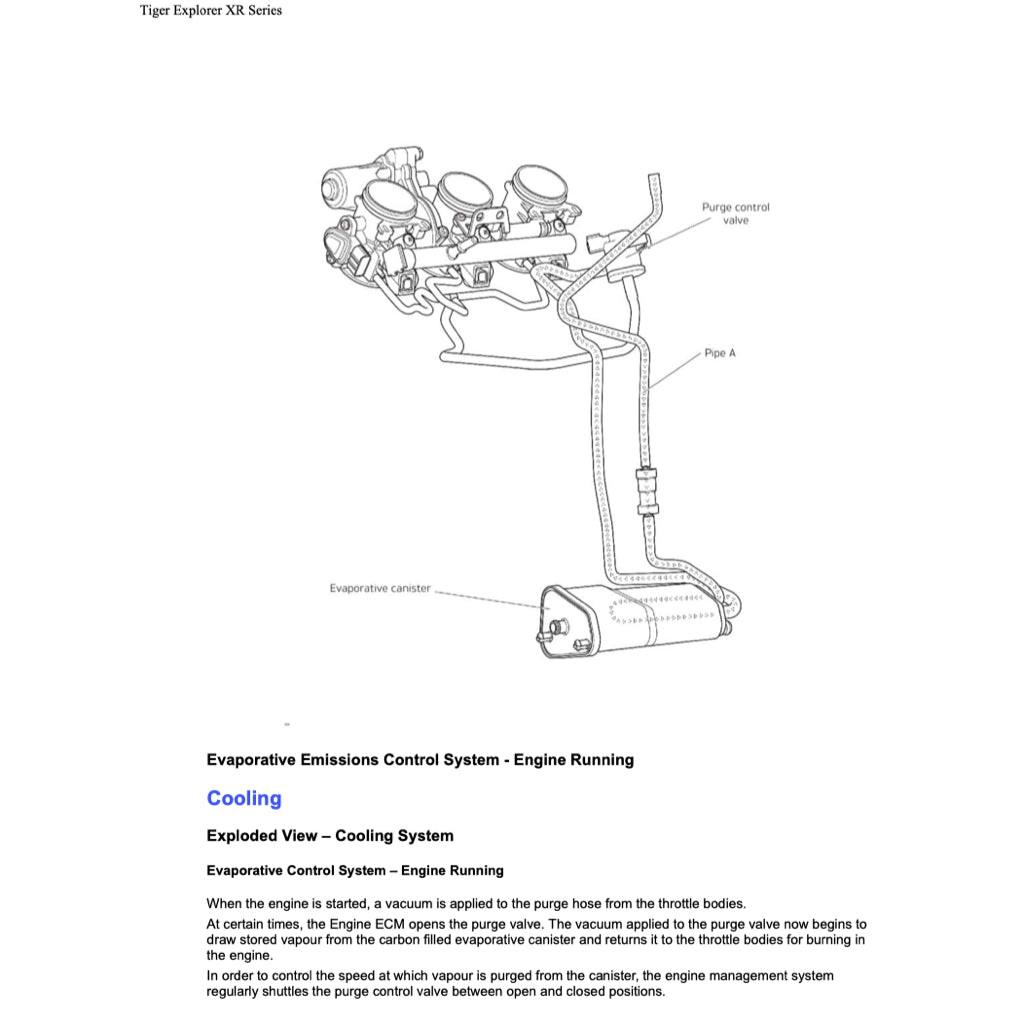 TRIUMPH EXPLORER 1200 XR/XRX/XRT 2016-2021 Full Manual Set – Repair & Maintenance Manual and User Handbook