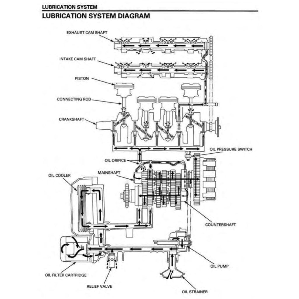 HONDA CB600F HORNET 2004-2006 Full Manual Set – Repair & Maintenance Manual and User Handbook