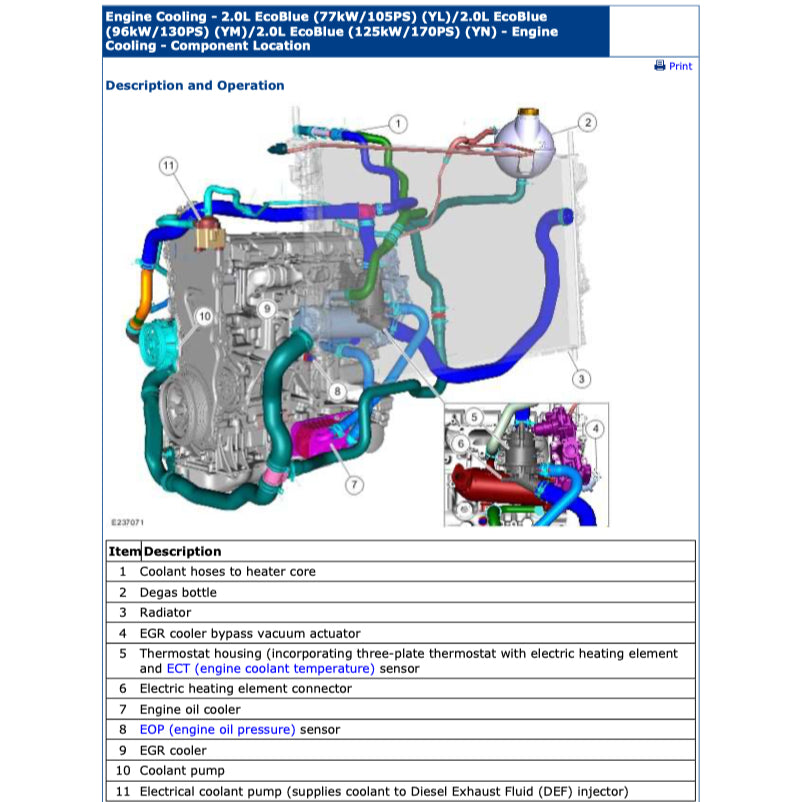 FORD RANGER T6 2019-2021 Full Manual Set – Repair & Maintenance Manual - ALSO CALLED RANGER "T7"