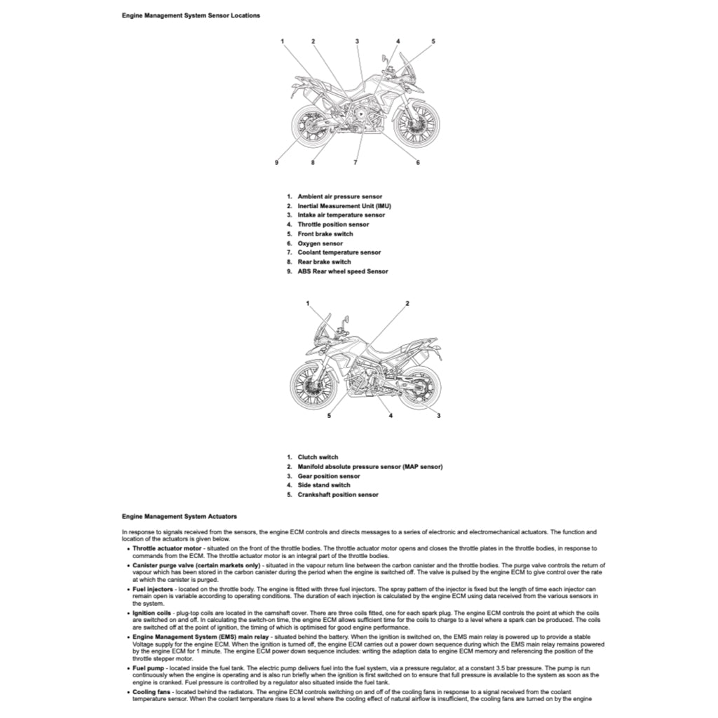 TRIUMPH TIGER 900 RALLY PRO 2020-2023 Full Manual Set – Repair & Maintenance Manual and User Handbook