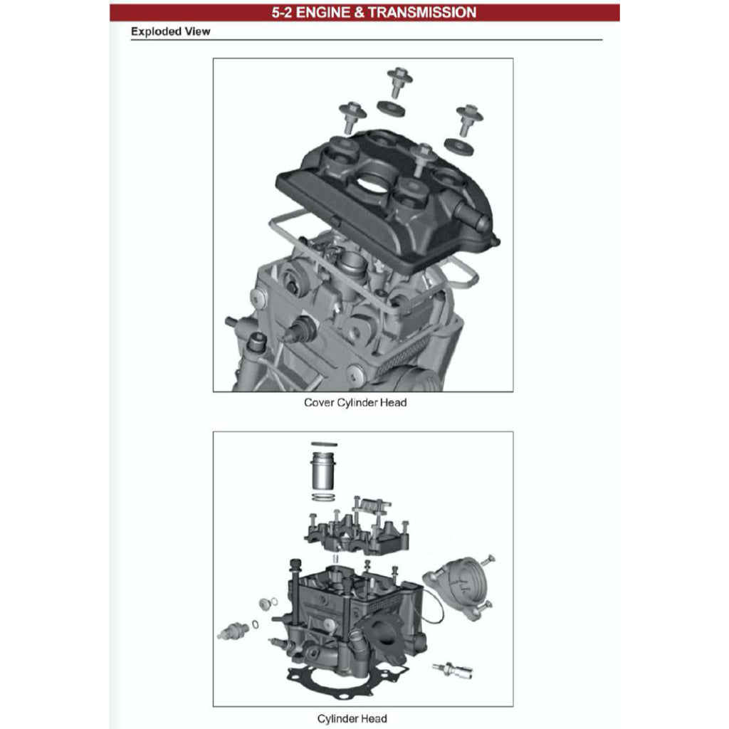 MODENAS DOMINAR 250 DM250 2023+ Full Manual Set – Repair & Maintenance Manual and Spare Parts Catalog and User Handbook