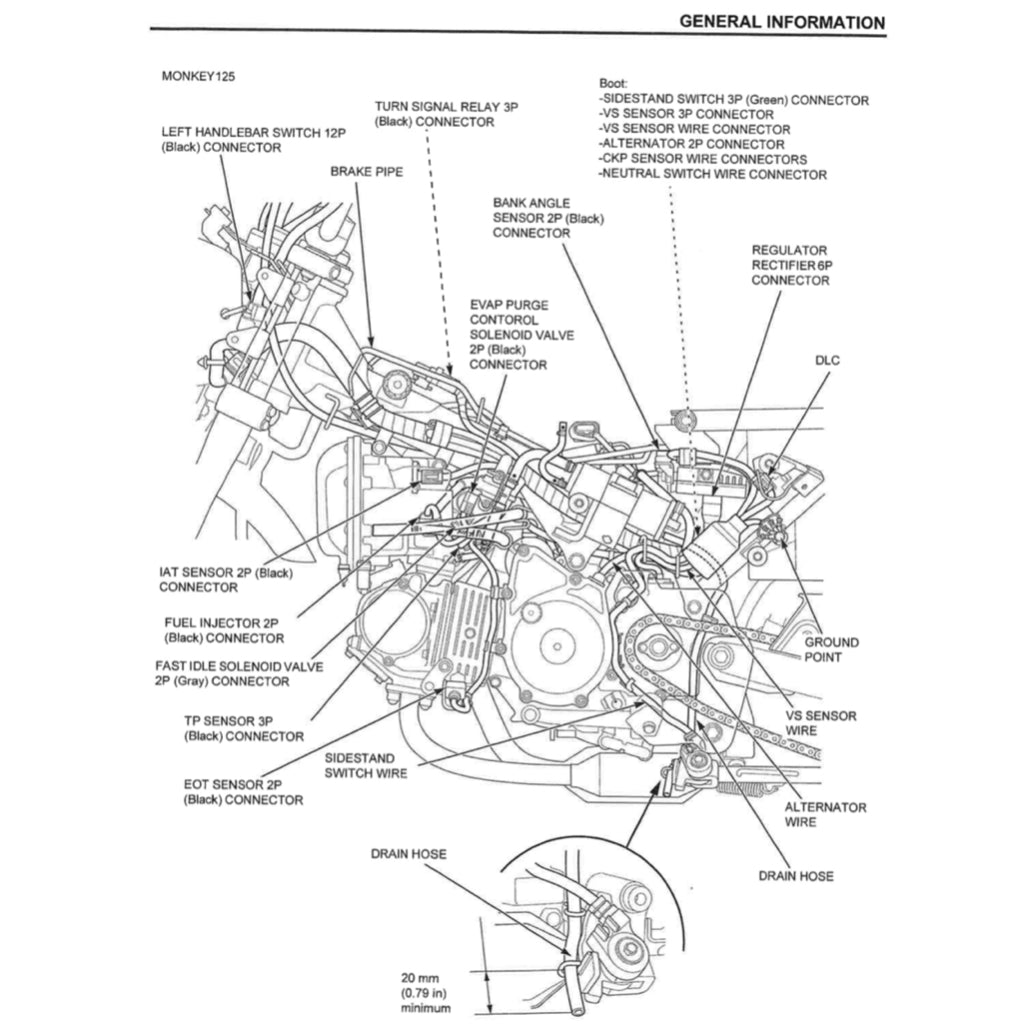 HONDA MONKEY Z125 2019+ Full Manual Set – Repair & Maintenance Manual and Spare Parts Catalog and User Handbook