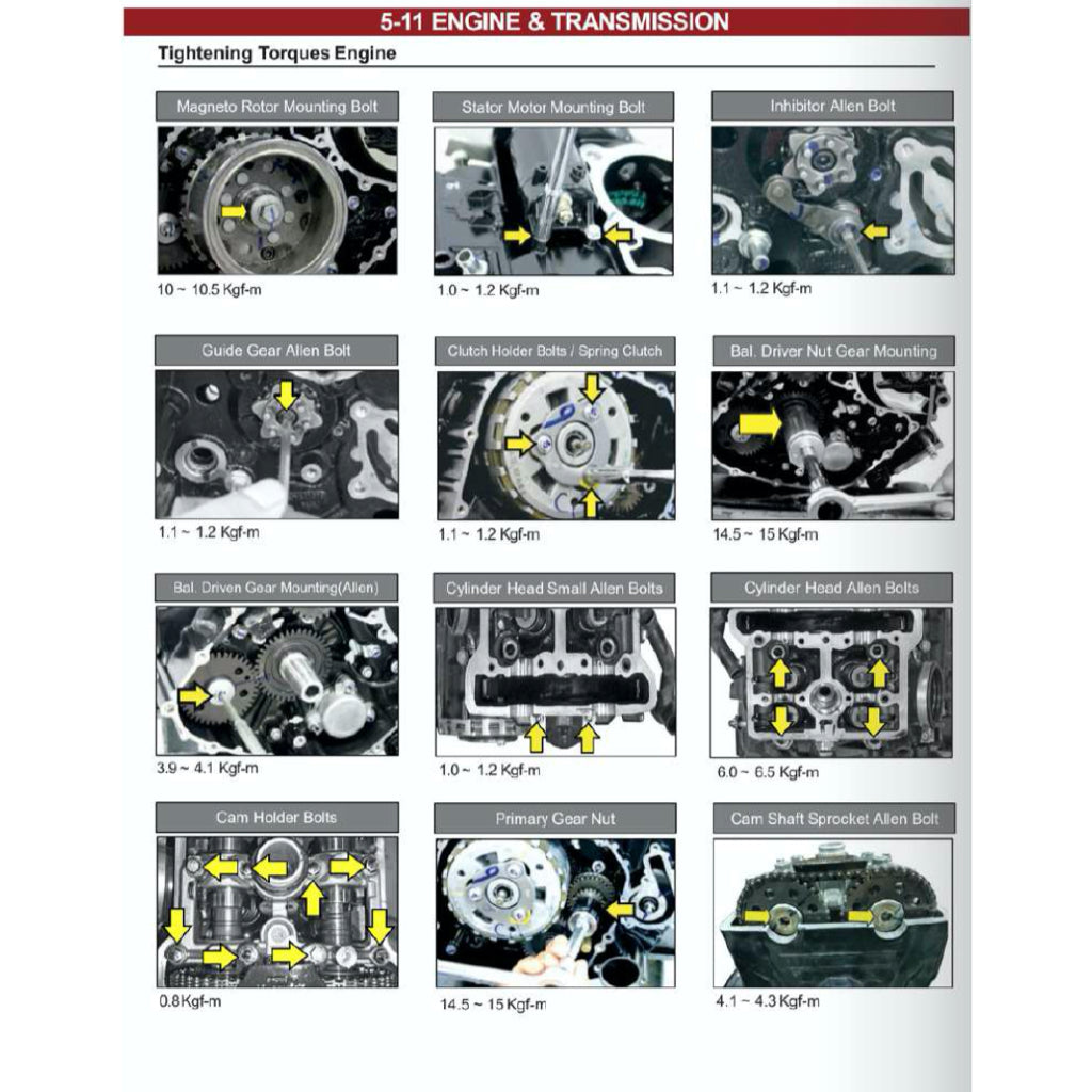 MODENAS DOMINAR 250 DM250 2023+ Full Manual Set – Repair & Maintenance Manual and Spare Parts Catalog and User Handbook