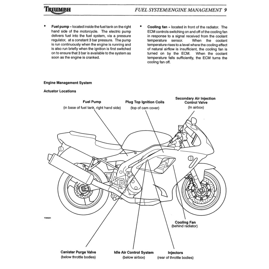 TRIUMPH DAYTONA 955i 2002-2006 Full Manual Set – Repair & Maintenance Manual and User Handbook