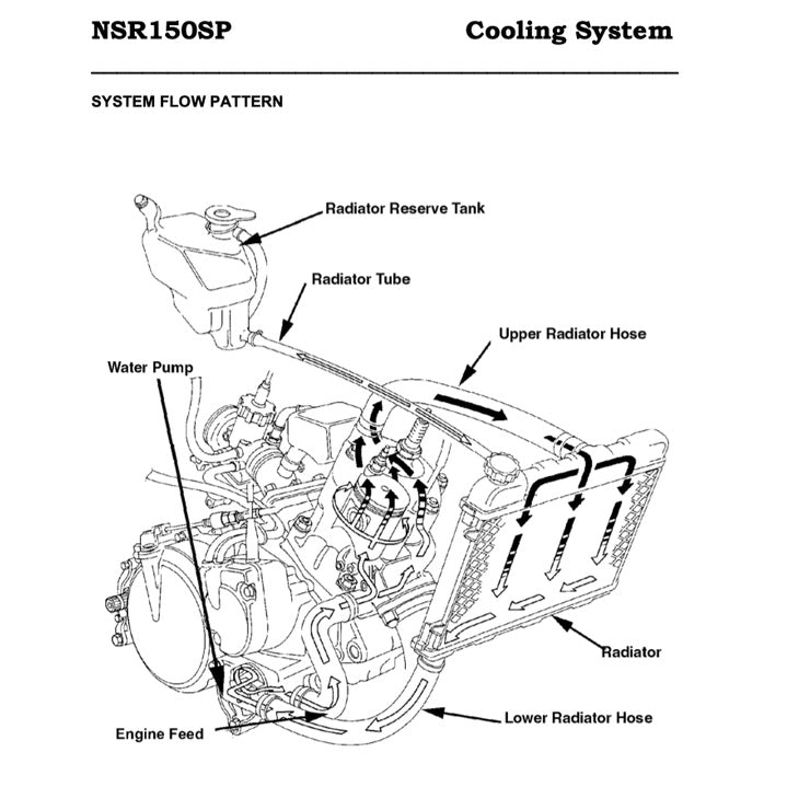 HONDA NSR 150SP 1997-2010 Full Manual Set – Repair & Maintenance Manual and Spare Parts Catalog and User Handbook - REPSOL REPLICA